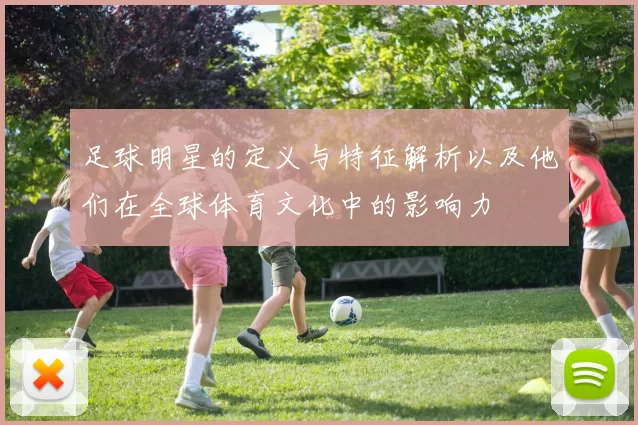 足球明星的定义与特征解析以及他们在全球体育文化中的影响力