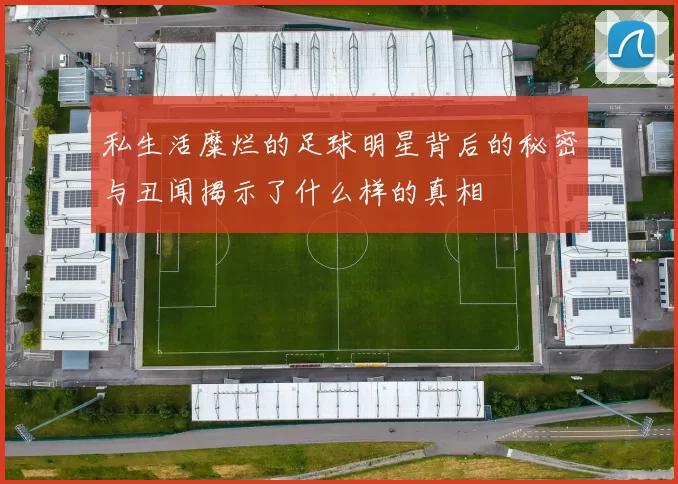 私生活糜烂的足球明星背后的秘密与丑闻揭示了什么样的真相