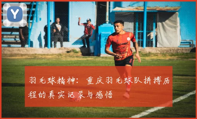 羽毛球精神：重庆羽毛球队拼搏历程的真实记录与感悟