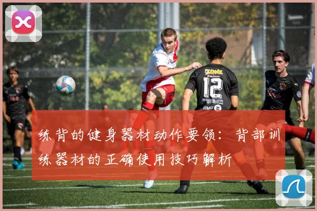 练背的健身器材动作要领：背部训练器材的正确使用技巧解析