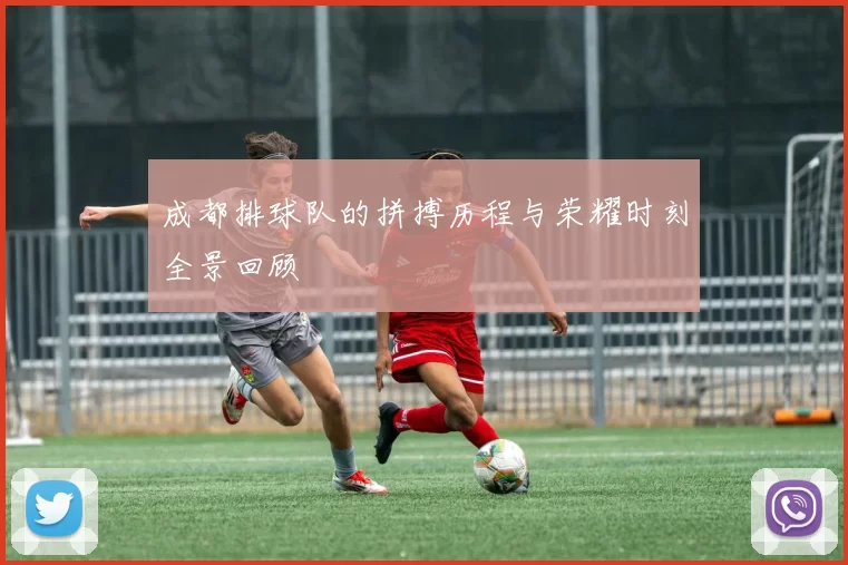 成都排球队的拼搏历程与荣耀时刻全景回顾