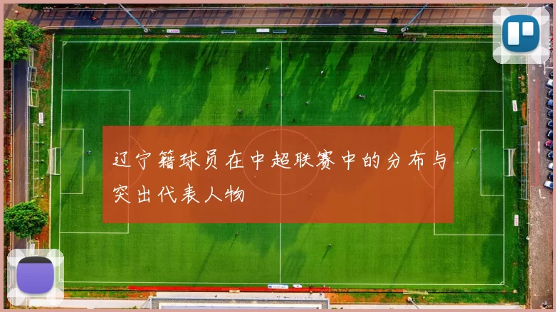 辽宁籍球员在中超联赛中的分布与突出代表人物