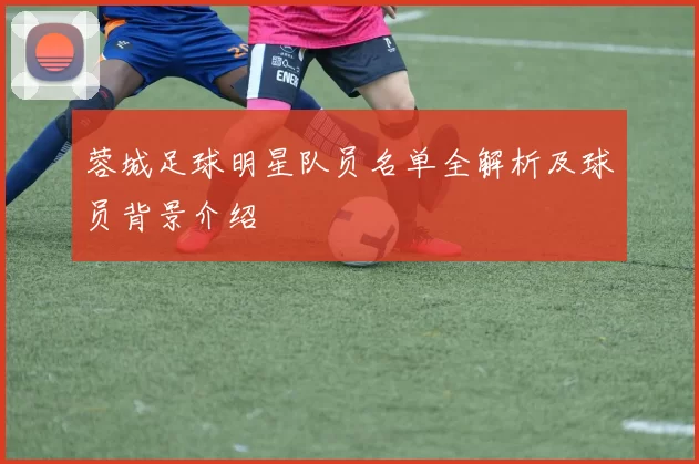 蓉城足球明星队员名单全解析及球员背景介绍