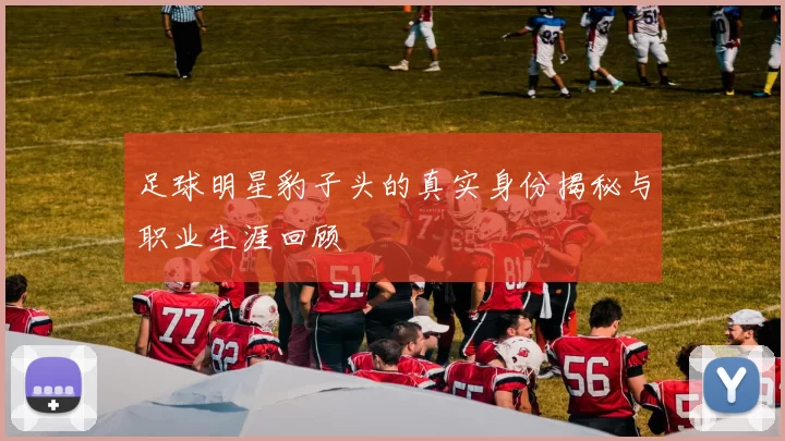 足球明星豹子头的真实身份揭秘与职业生涯回顾